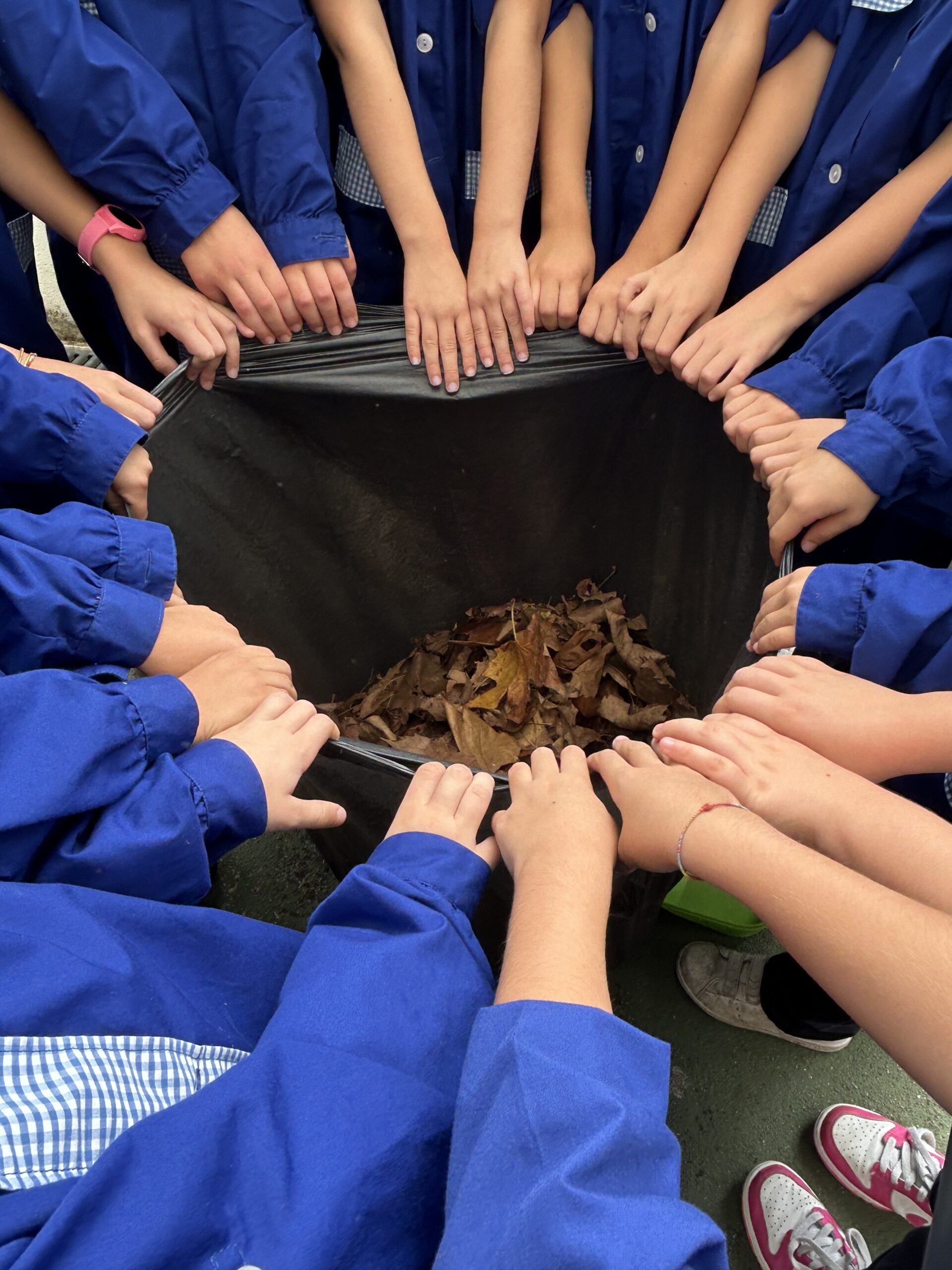 Eco-Escolas