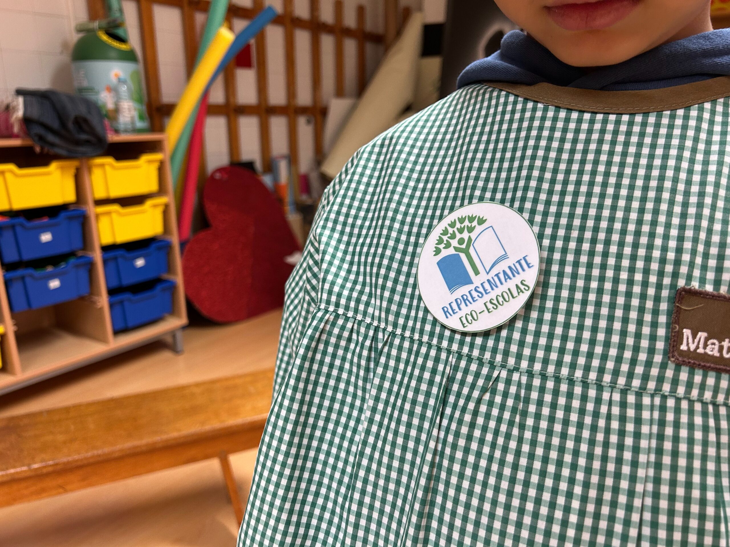 Eco-Escolas