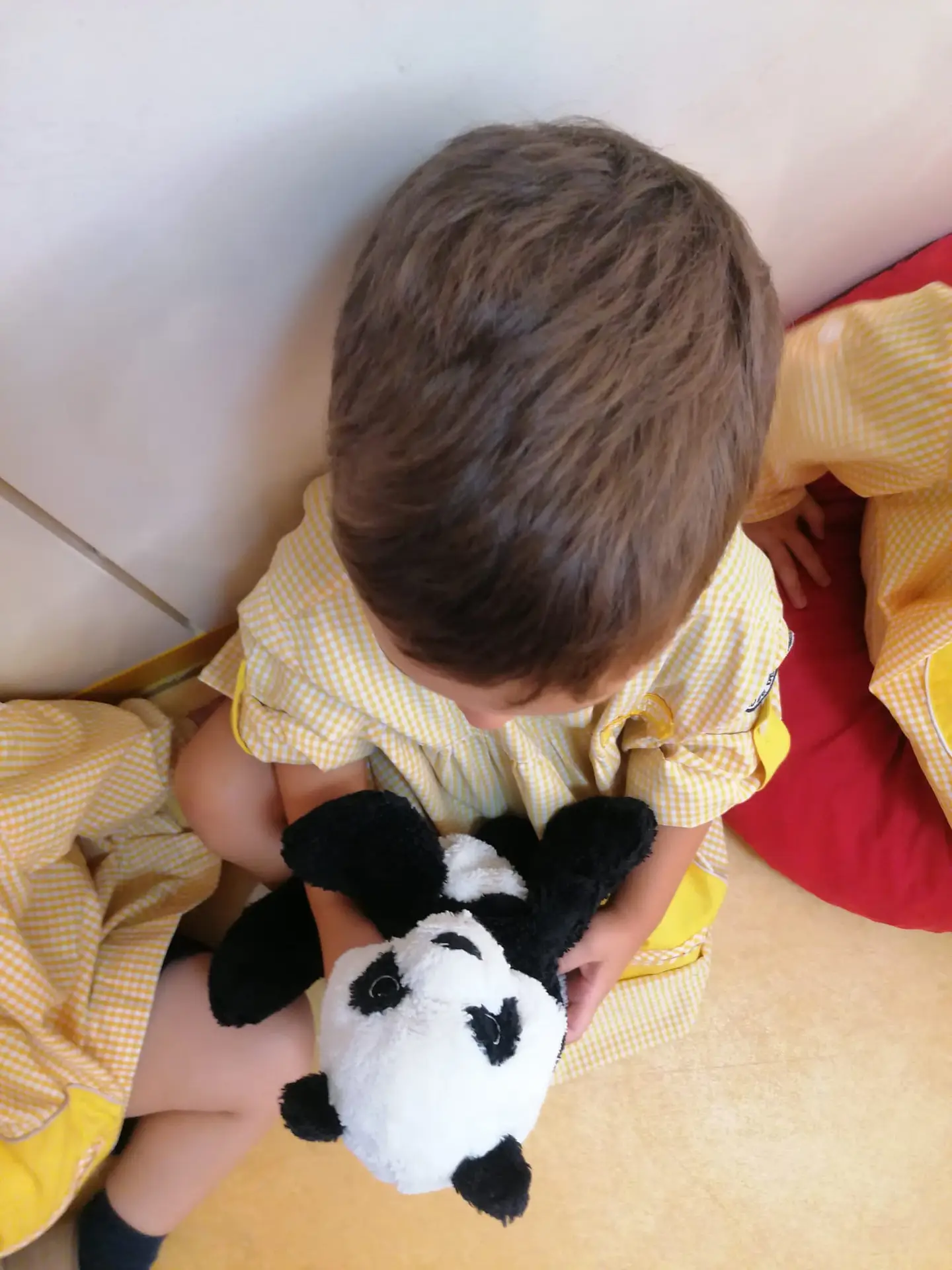 O meu peluche veio à escola!